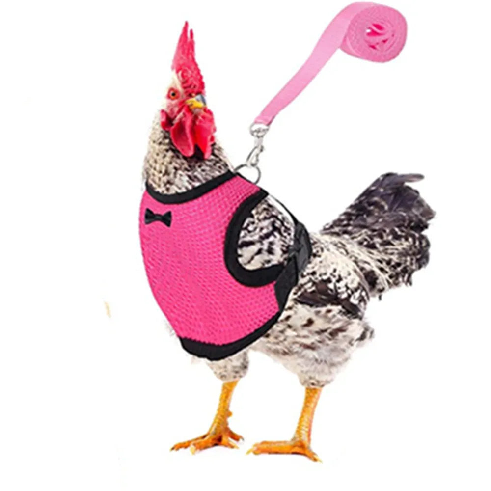 Fashion Chicken Duck Vest Hen Belt Pet Harness Matching Bow Collars Comfortable Breathable Poultry Leads Supplies