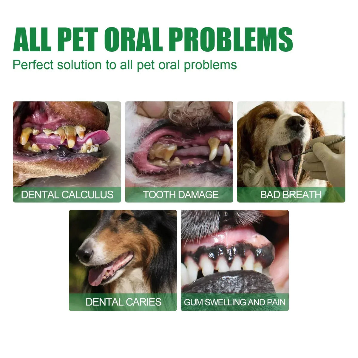 30ml Pet Tooth Cleaner Spray for Dogs and Cats to Remove Bad Breath, Mouth Cleaner, Breath Freshener Spray, Fresh Fragrance