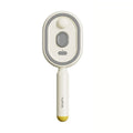 Durable Electric Hair Care Spray Massage Comb Anti-static Self-cleaning Spray Airbag Combs Scalp Massager Gifts