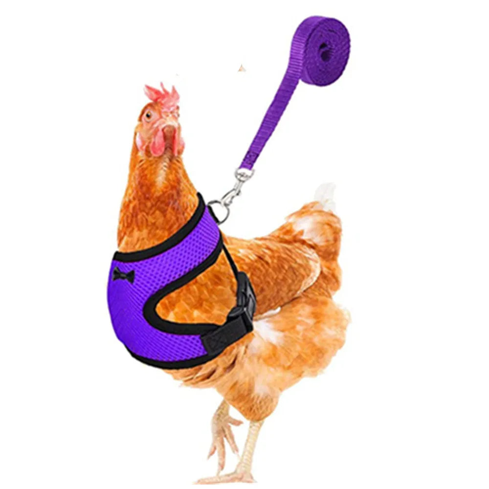 Fashion Chicken Duck Vest Hen Belt Pet Harness Matching Bow Collars Comfortable Breathable Poultry Leads Supplies