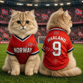 2026 Cat Dog Soccer Jersey Norway Flag Printed Haaland No. 9 Large Dog Jersey Basketball Clothing, Puppy T-Shirts, Pet Cat Shirts