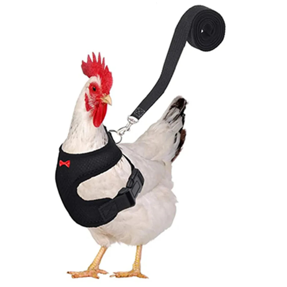 Fashion Chicken Duck Vest Hen Belt Pet Harness Matching Bow Collars Comfortable Breathable Poultry Leads Supplies