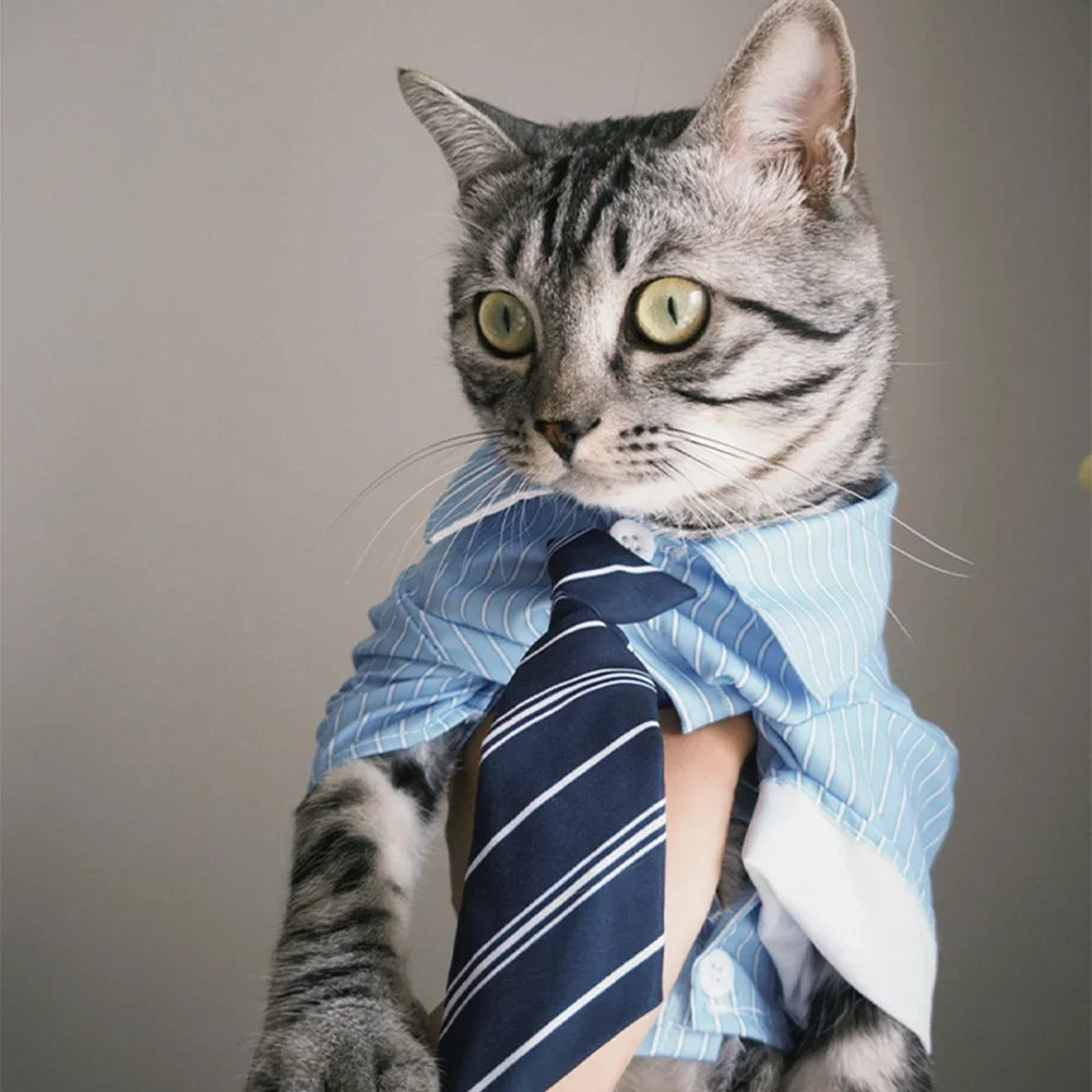 Striped Pet Shirt with Tie Gentleman College Style Soft Pet Blouse Small Medium Dog Cat Clothes Costume for Chihuahua Bichon