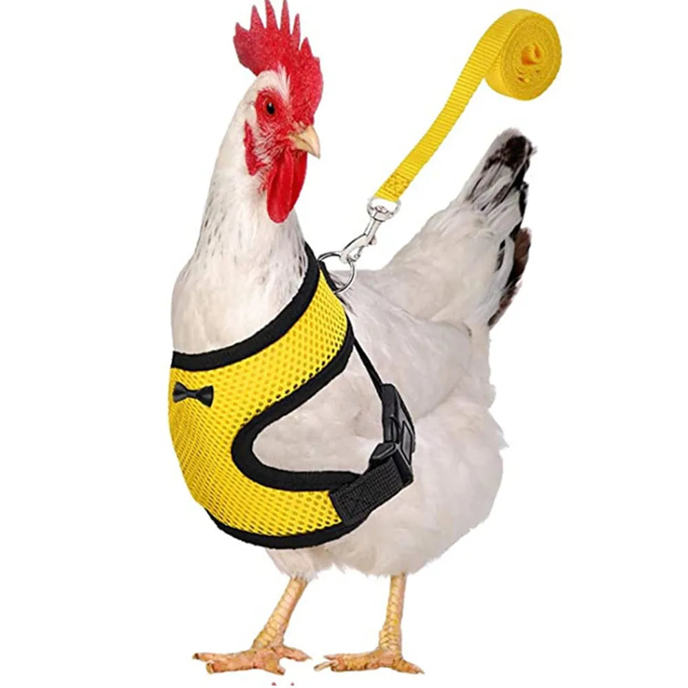 Fashion Chicken Duck Vest Hen Belt Pet Harness Matching Bow Collars Comfortable Breathable Poultry Leads Supplies