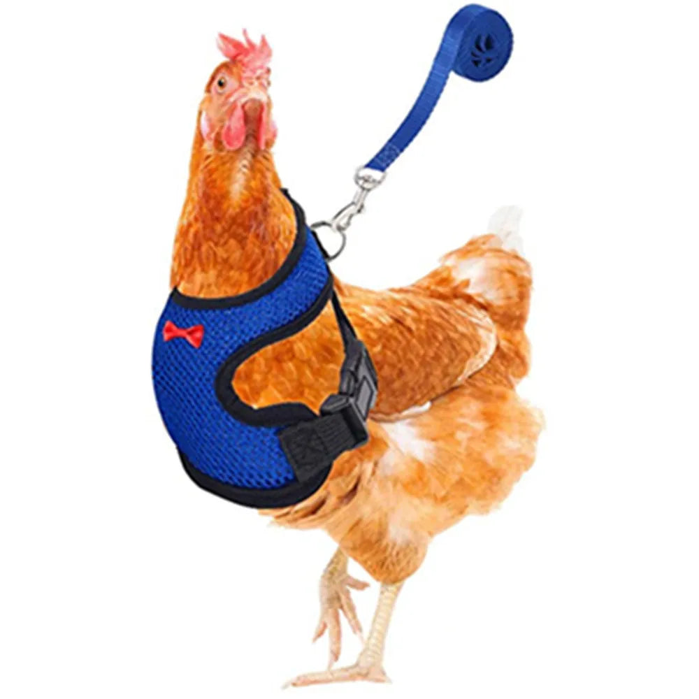 Fashion Chicken Duck Vest Hen Belt Pet Harness Matching Bow Collars Comfortable Breathable Poultry Leads Supplies