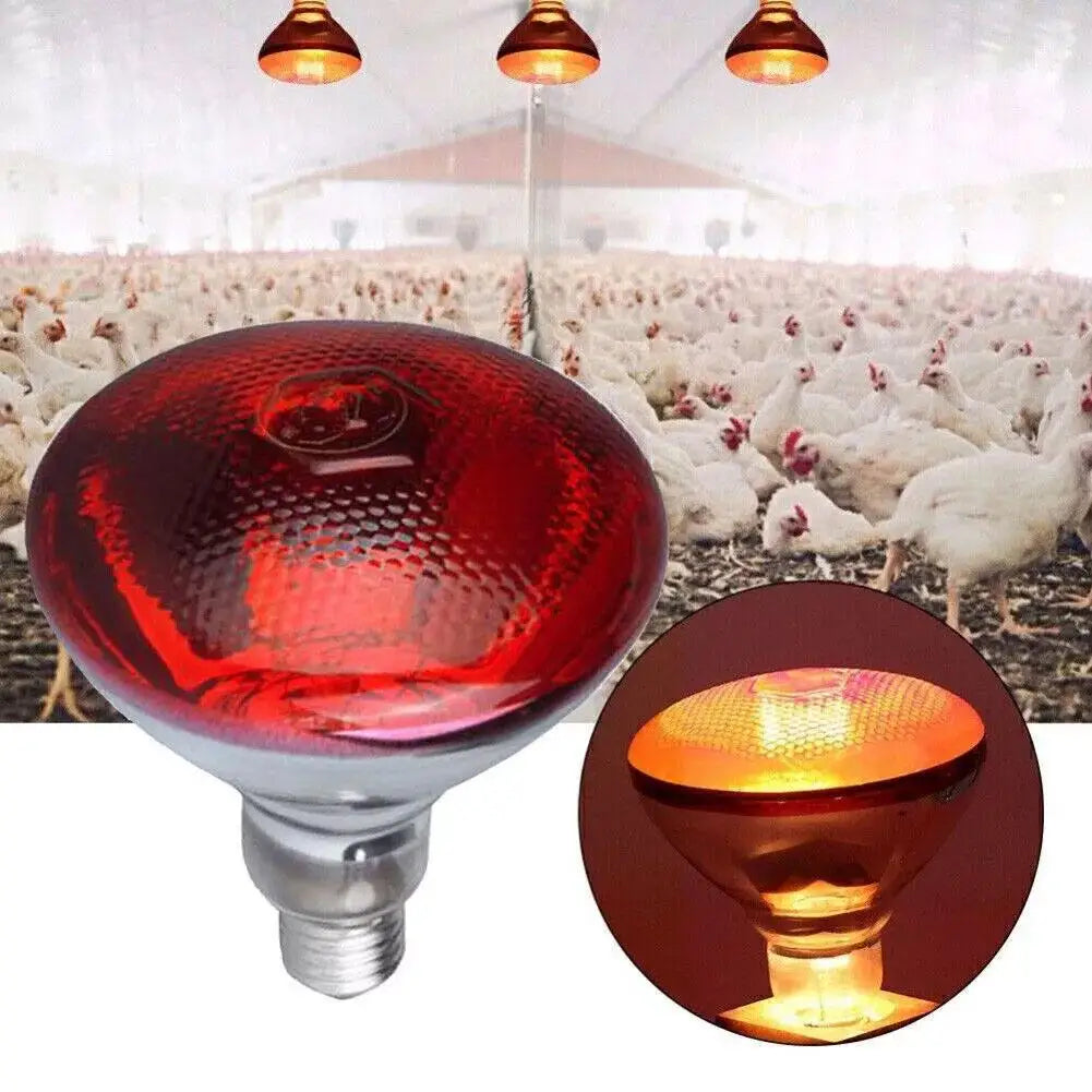 Thickened Poultry Heating Lamp Breeding Bulb High Quality E27 100W/150W/200W/250W LED Light Pet Brooder Hatch Chick Heater Bulb