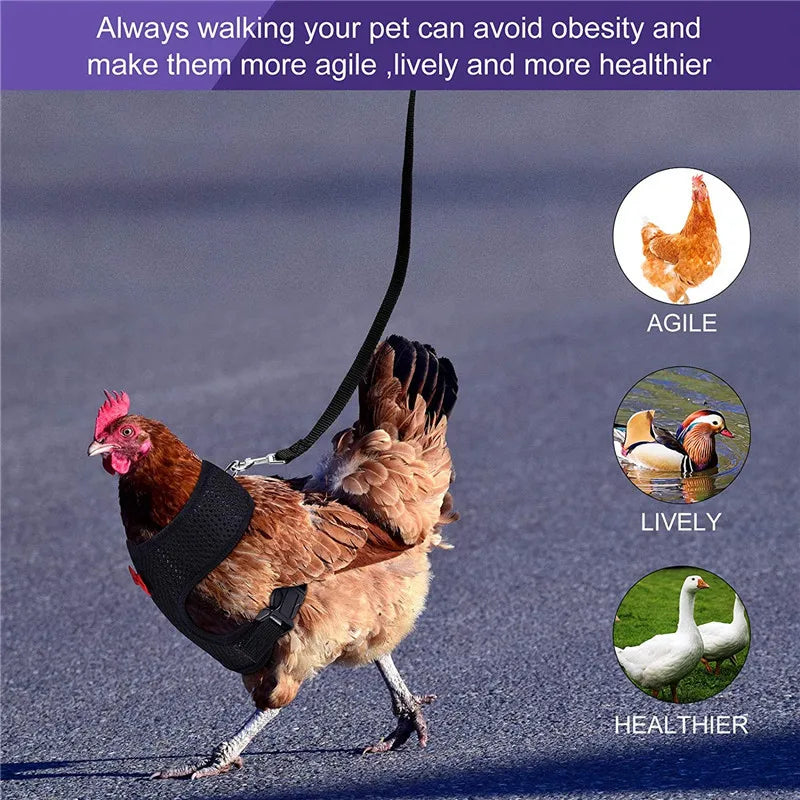 Fashion Chicken Duck Vest Hen Belt Pet Harness Matching Bow Collars Comfortable Breathable Poultry Leads Supplies
