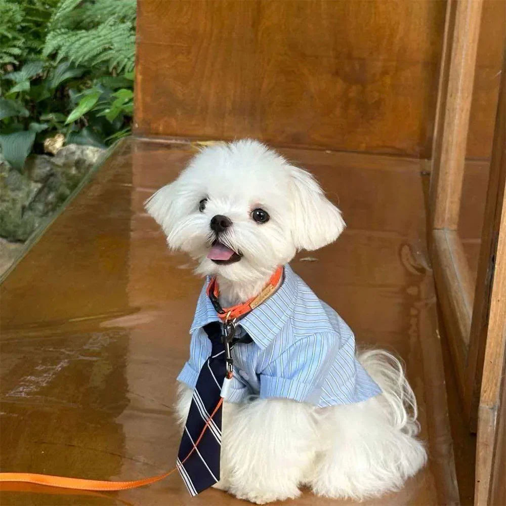 Striped Pet Shirt with Tie Gentleman College Style Soft Pet Blouse Small Medium Dog Cat Clothes Costume for Chihuahua Bichon
