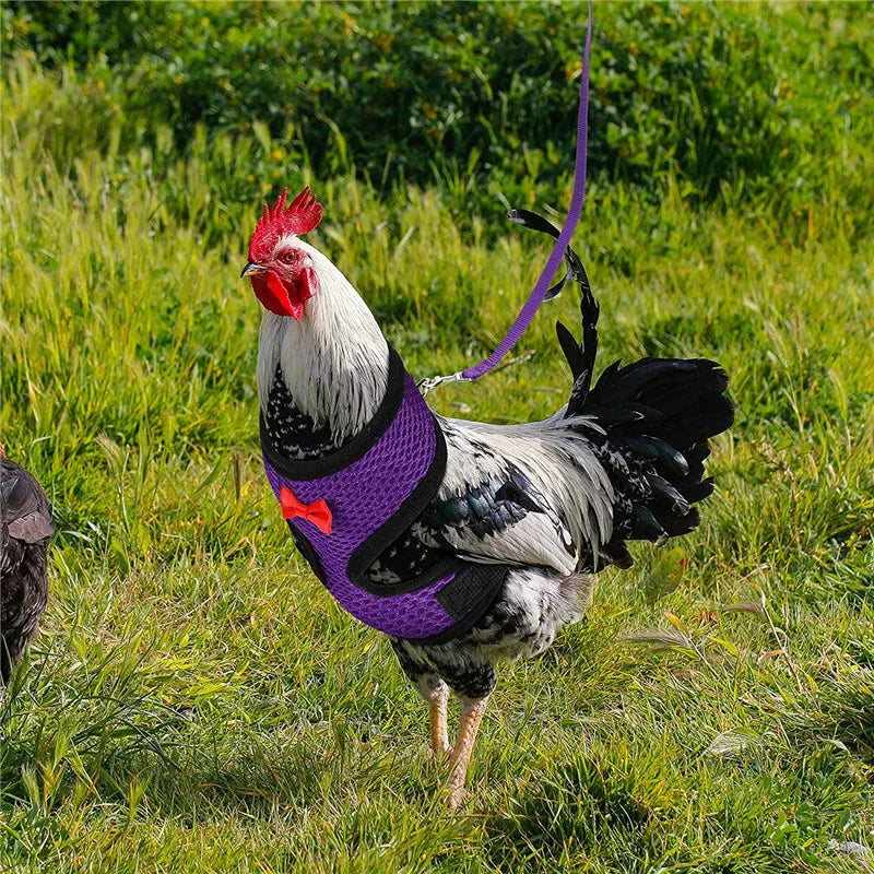 Fashion Chicken Duck Vest Hen Belt Pet Harness Matching Bow Collars Comfortable Breathable Poultry Leads Supplies