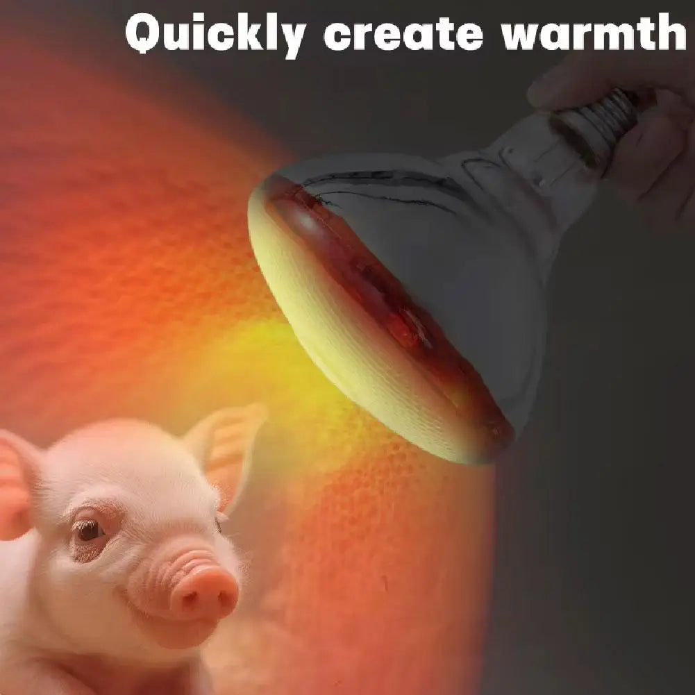 Thickened Poultry Heating Lamp Breeding Bulb High Quality E27 100W/150W/200W/250W LED Light Pet Brooder Hatch Chick Heater Bulb