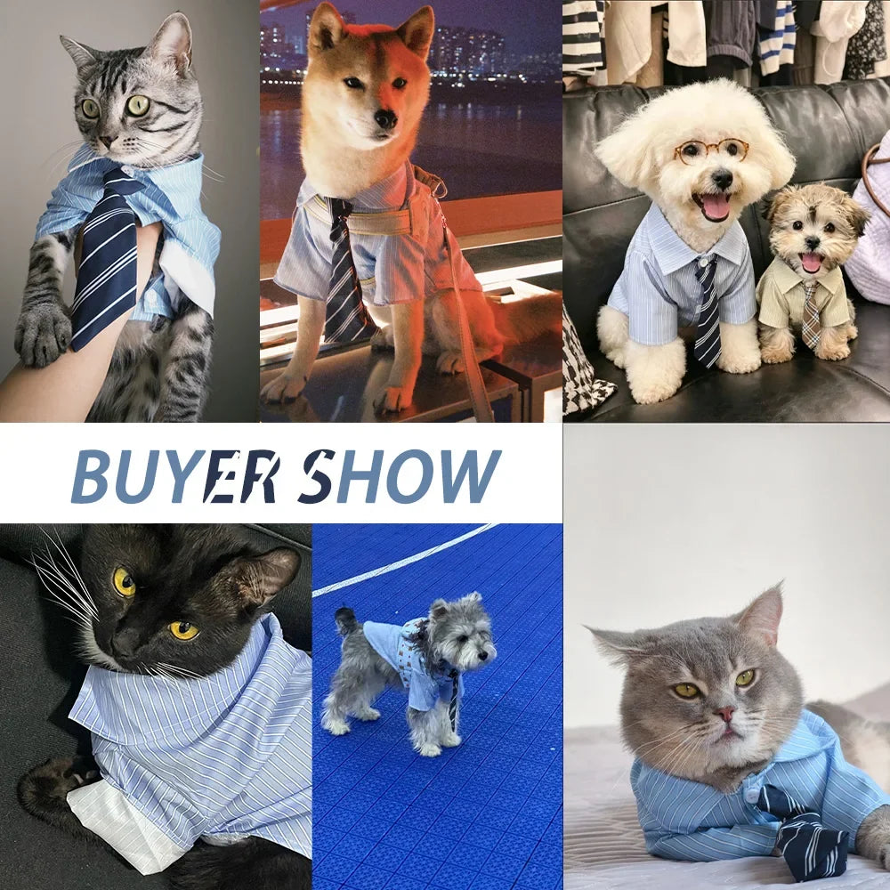 Striped Pet Shirt with Tie Gentleman College Style Soft Pet Blouse Small Medium Dog Cat Clothes Costume for Chihuahua Bichon