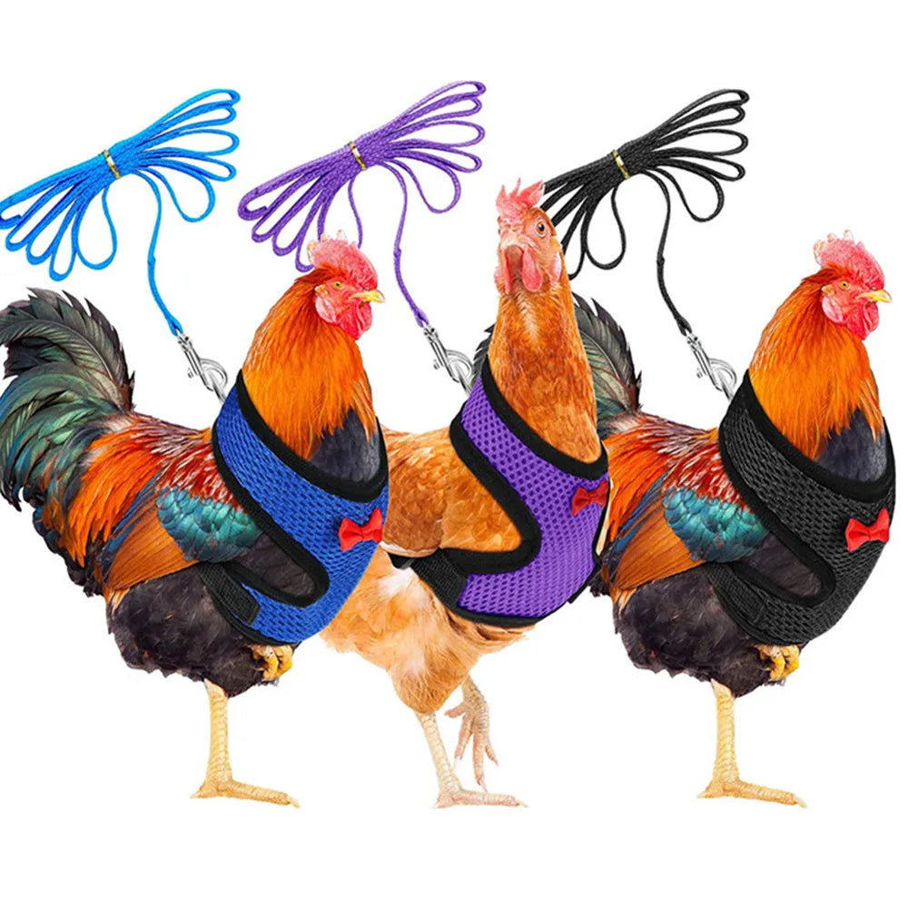 Fashion Chicken Duck Vest Hen Belt Pet Harness Matching Bow Collars Comfortable Breathable Poultry Leads Supplies