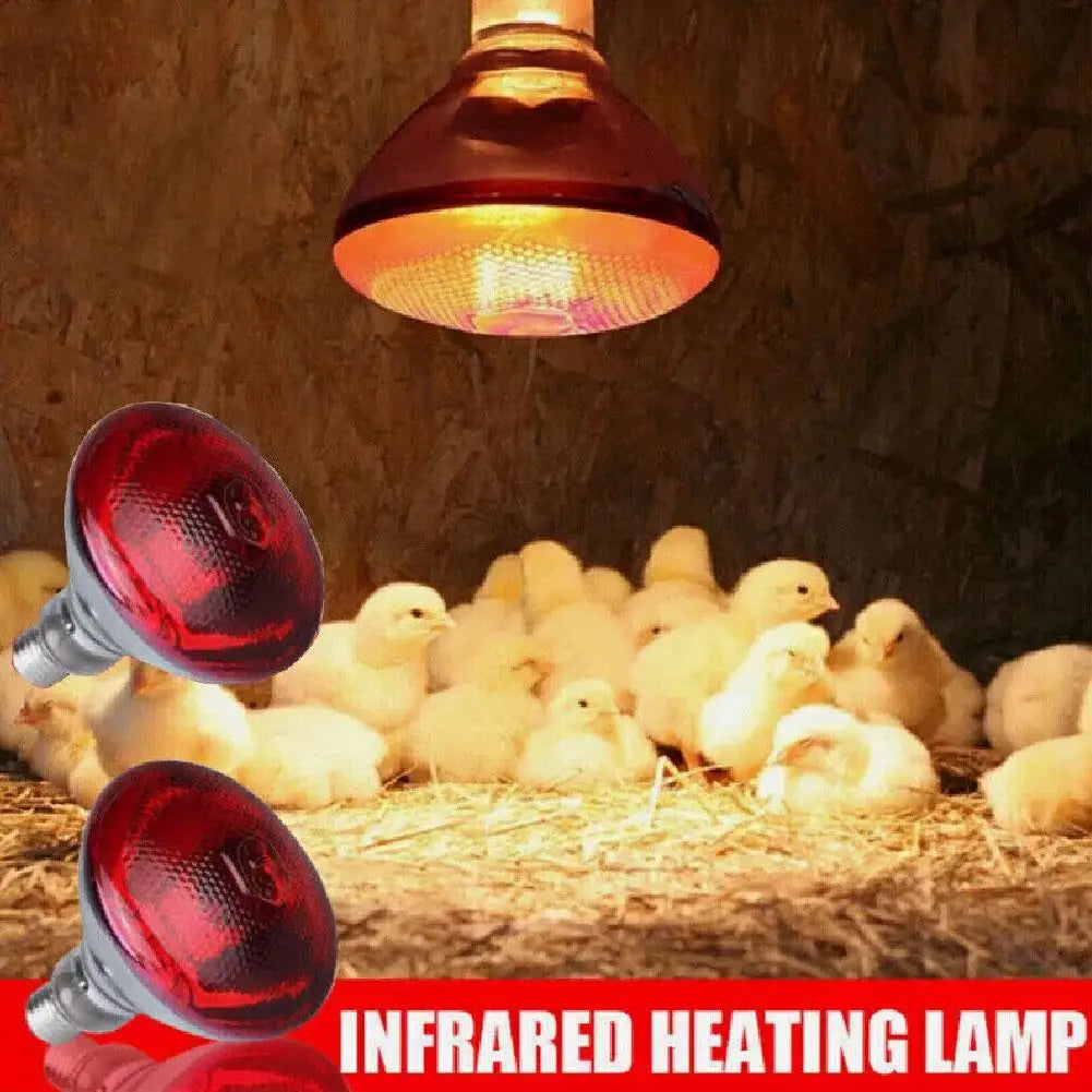 Thickened Poultry Heating Lamp Breeding Bulb High Quality E27 100W/150W/200W/250W LED Light Pet Brooder Hatch Chick Heater Bulb